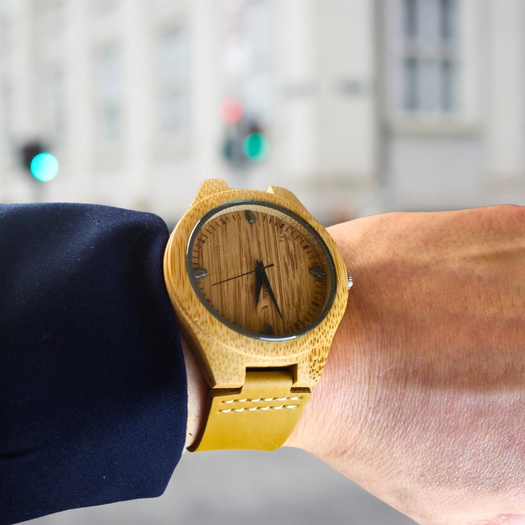 Observación del meteorito Aletai (1)