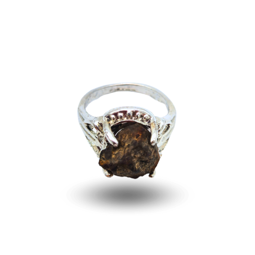 Anillo de condrita de acero nwa xxx