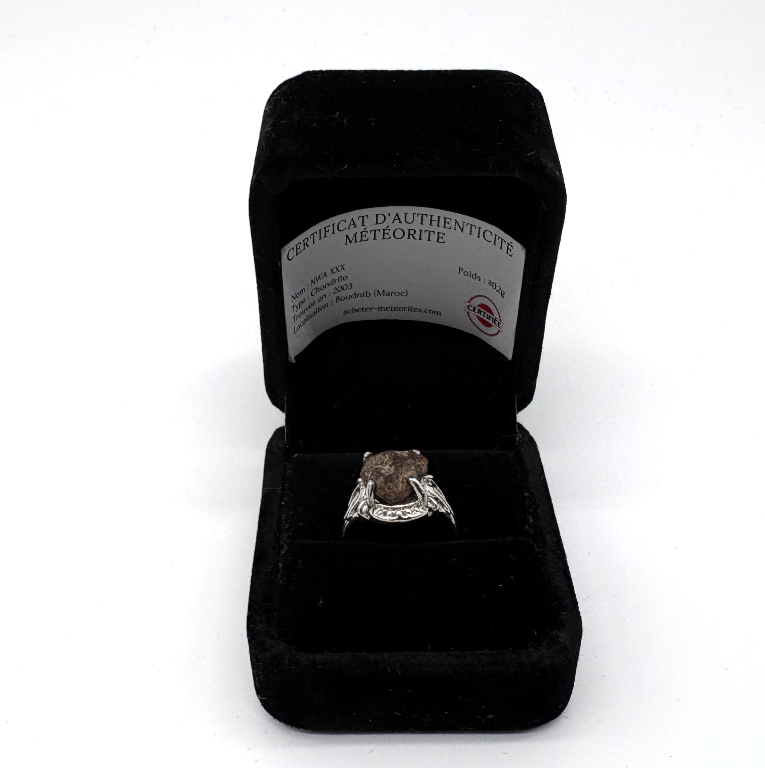 anillo de condrita