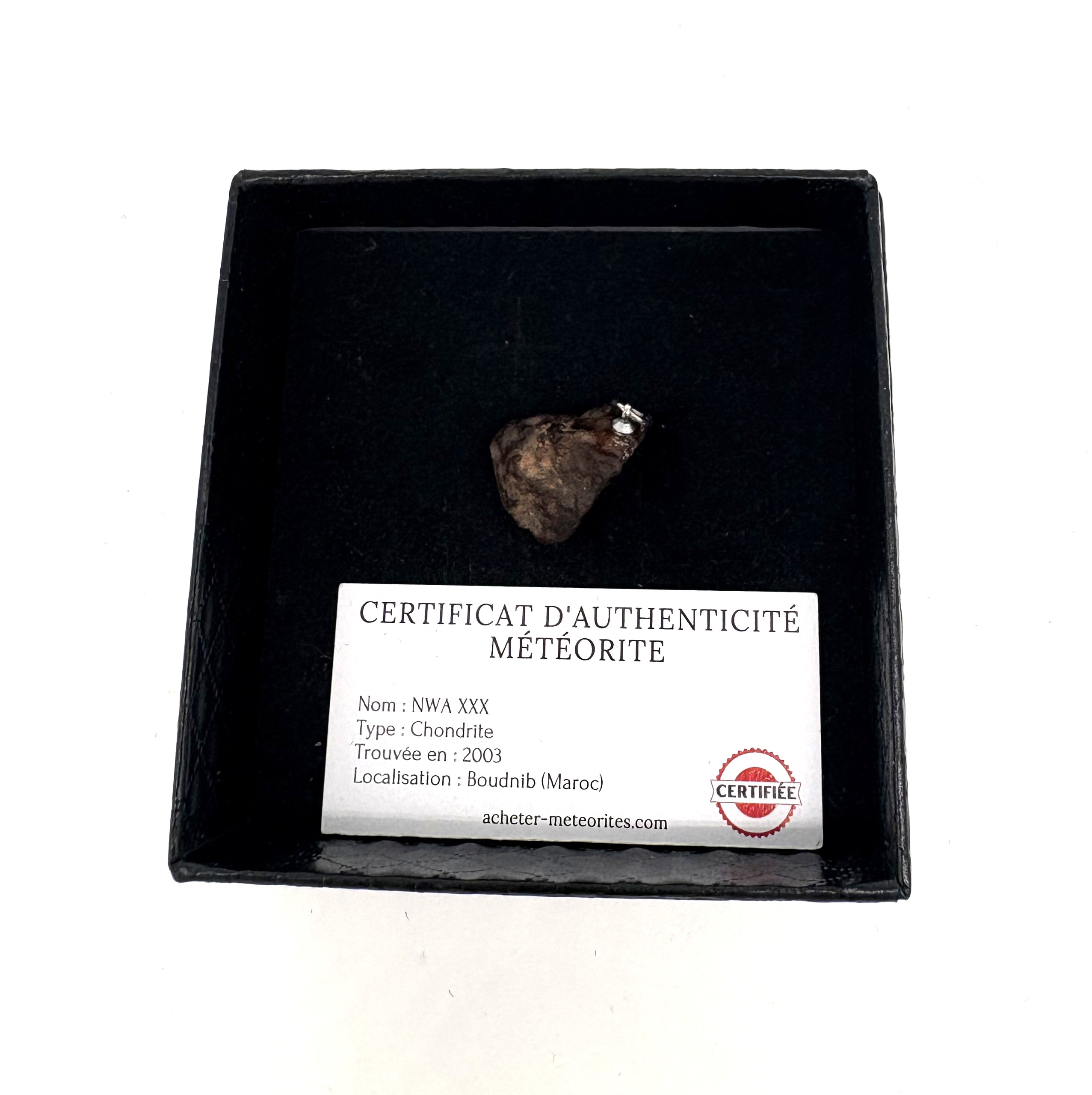 colgante condrita nwa xxx (4)