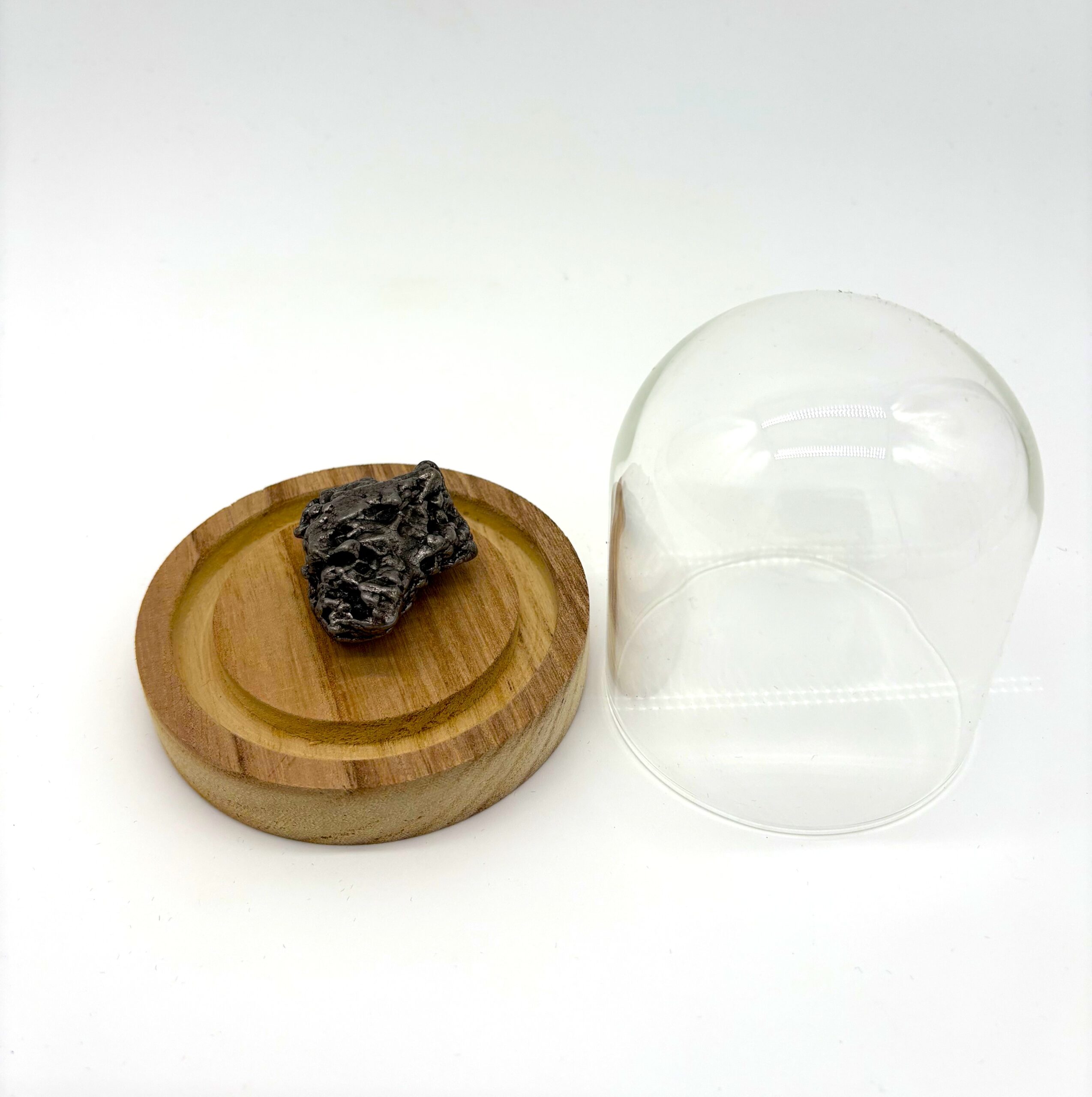 Meteorito de Campo del Cielo de tamaño mediano, en una campana de cristal con base de madera clara.