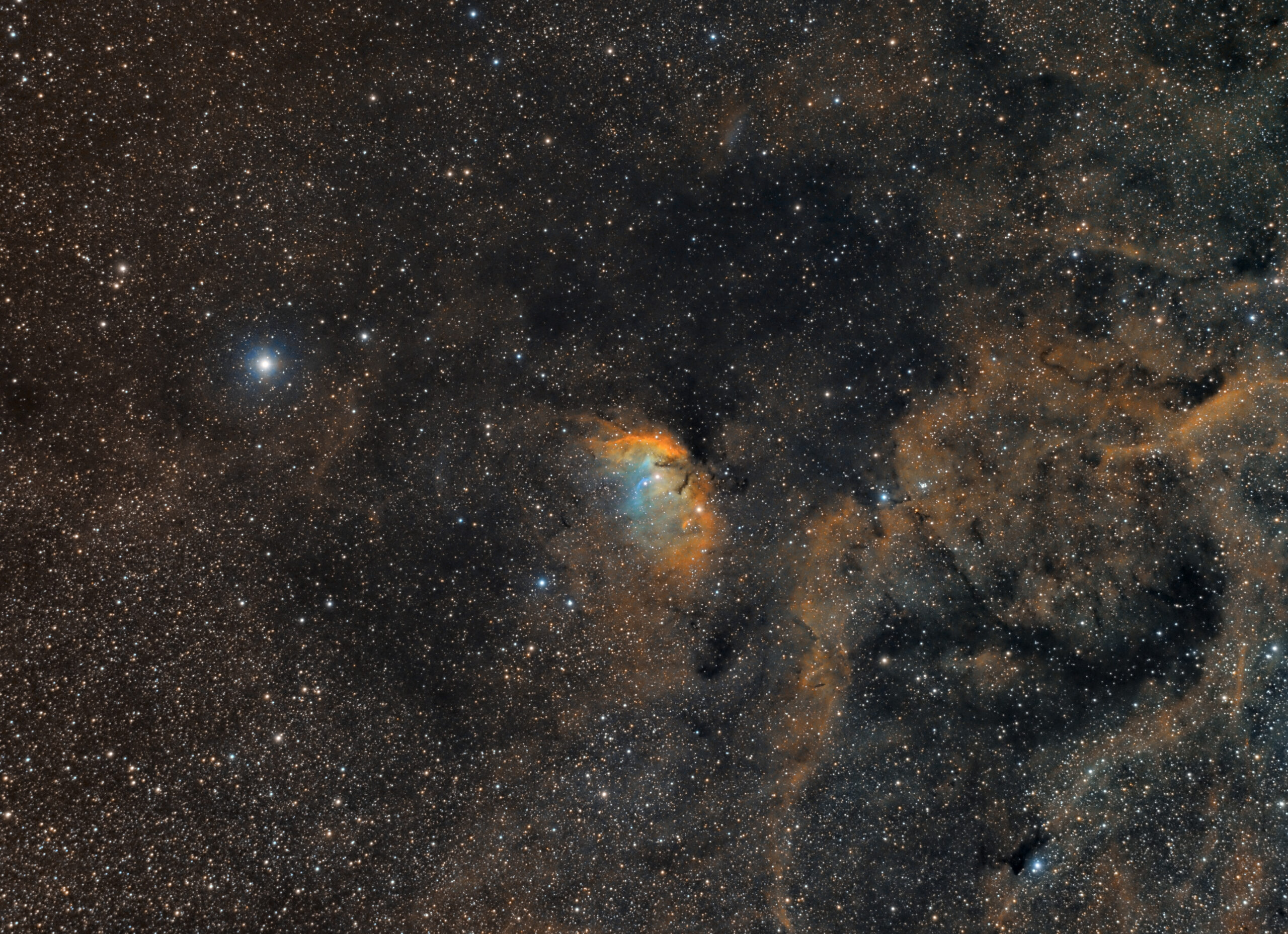 SH2-101 nebulosa del tulipán SHO