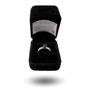 Bague en acier 3 bandes & météorite NWA 14093