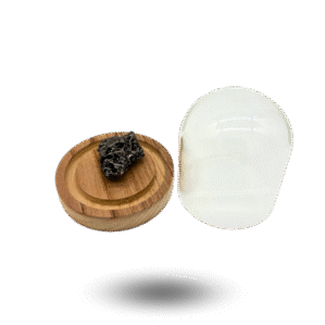 meteorite campo del cielo sous cloche en verre