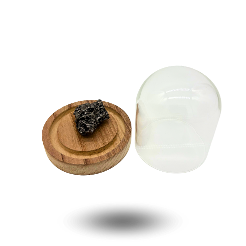 meteorito campo del cielo bajo vidrio cloche