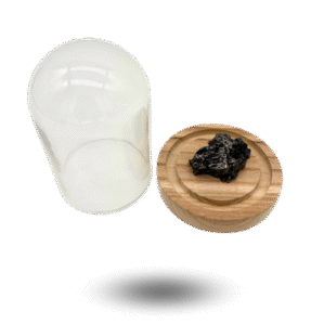 météorite campo del cielo sous cloche en verre