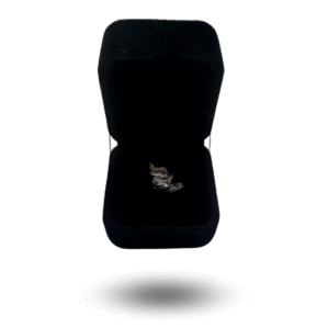 pendentif météorite brute campo del cielo