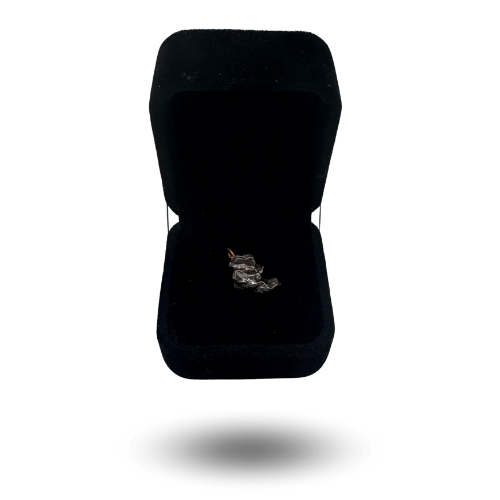 colgante meteorito en bruto campo del cielo