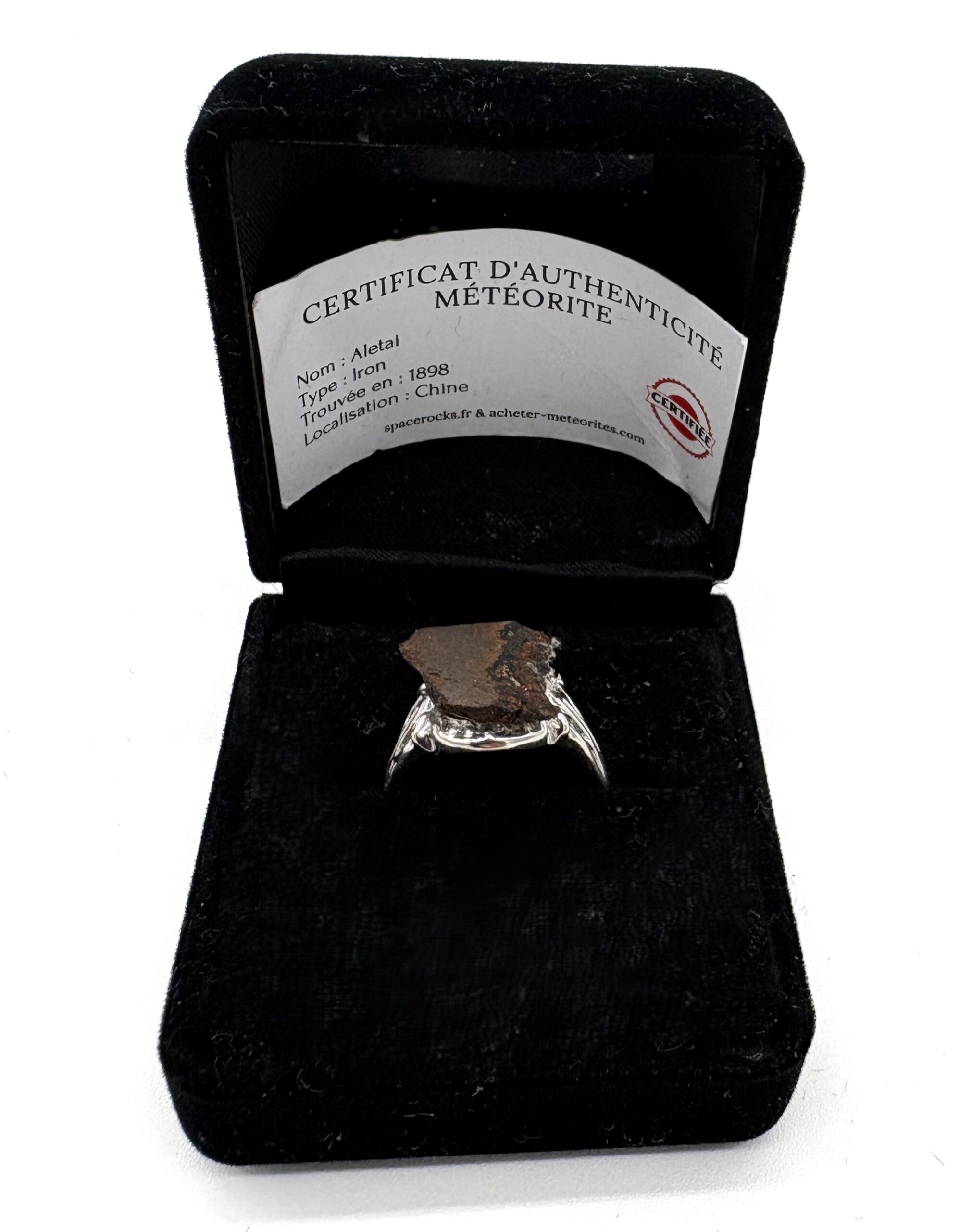 Anillo de sello moderno de plata - Meteorito Aletai