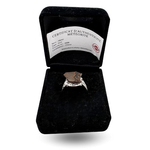 Anillo de sello moderno de plata - meteorito Aletai