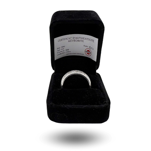 Anillo plateado con banda de meteorito Aletai incrustada