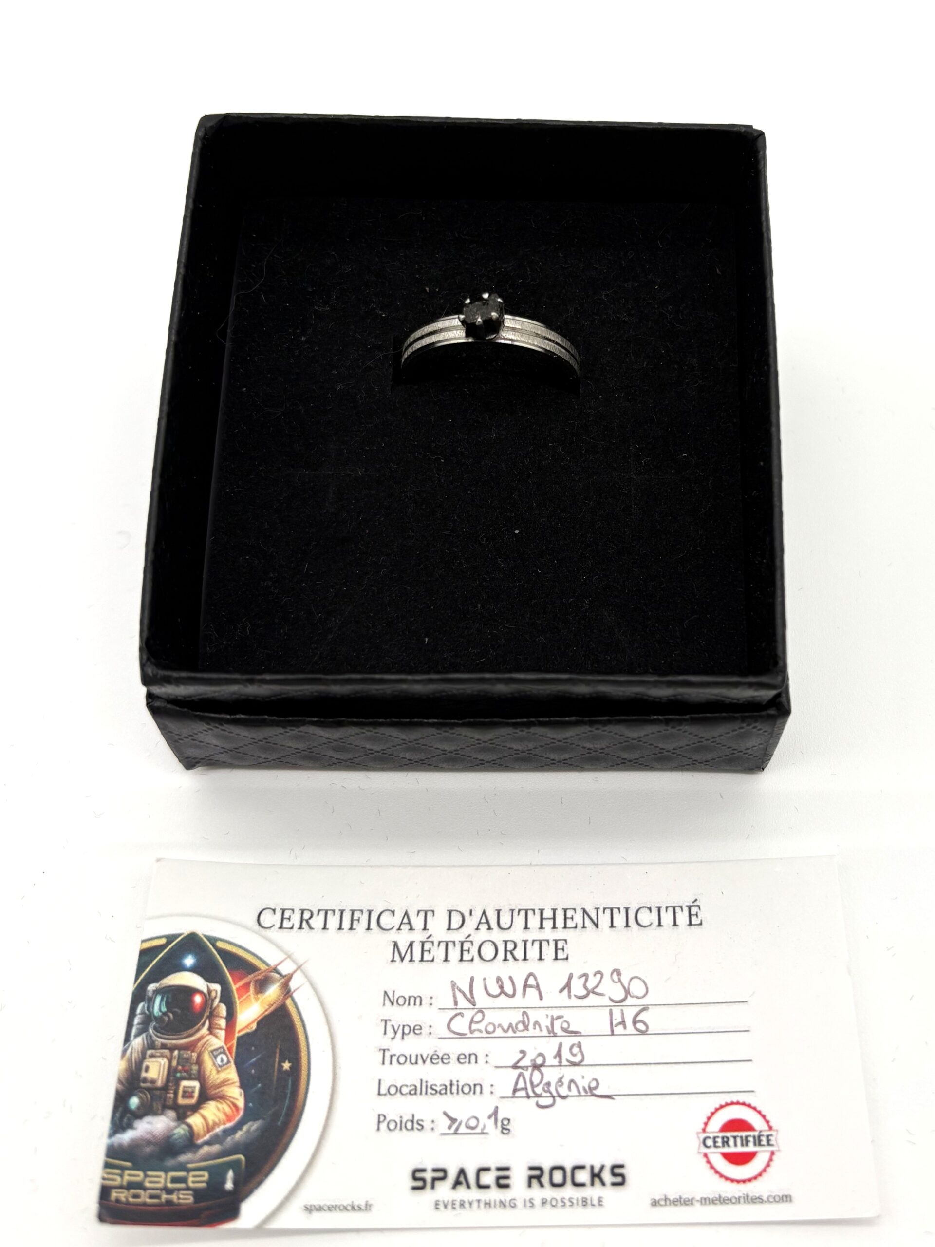 Anillo diseño plata - doble banda y meteorito NWA 13290