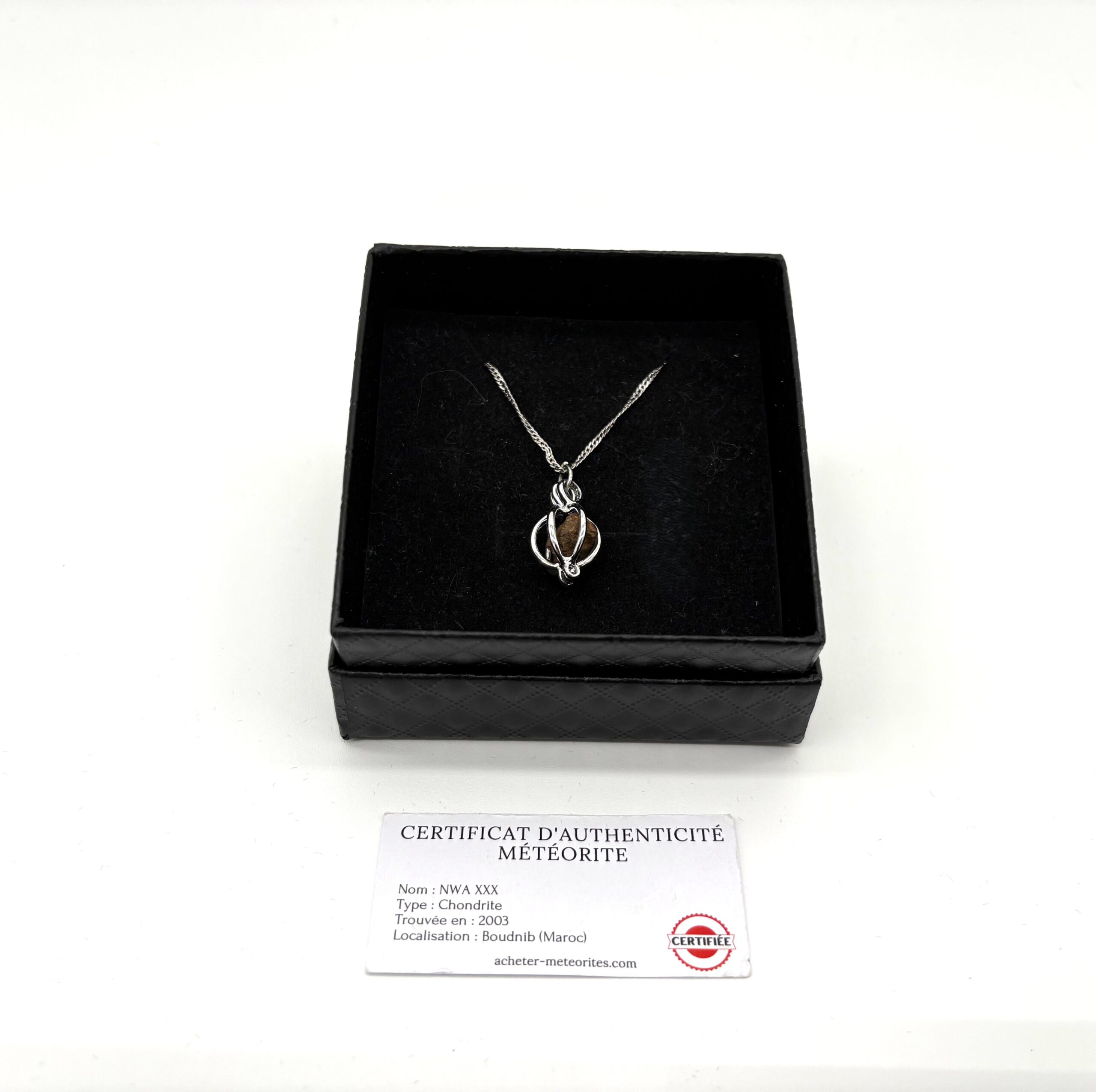 Collar de plata con colgante de jaula y NWA XXX