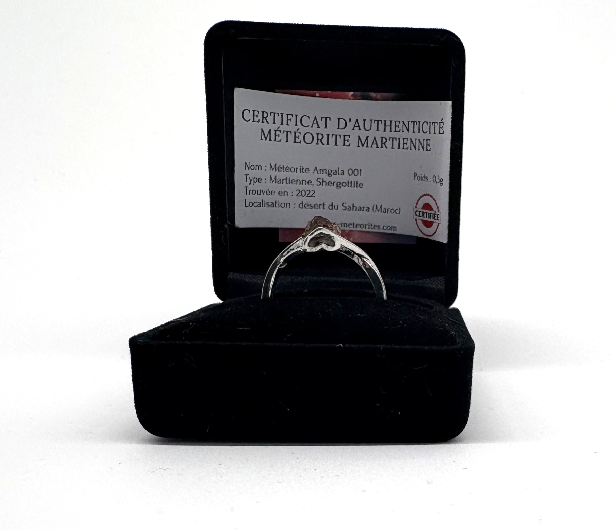 anillo meteorito marte