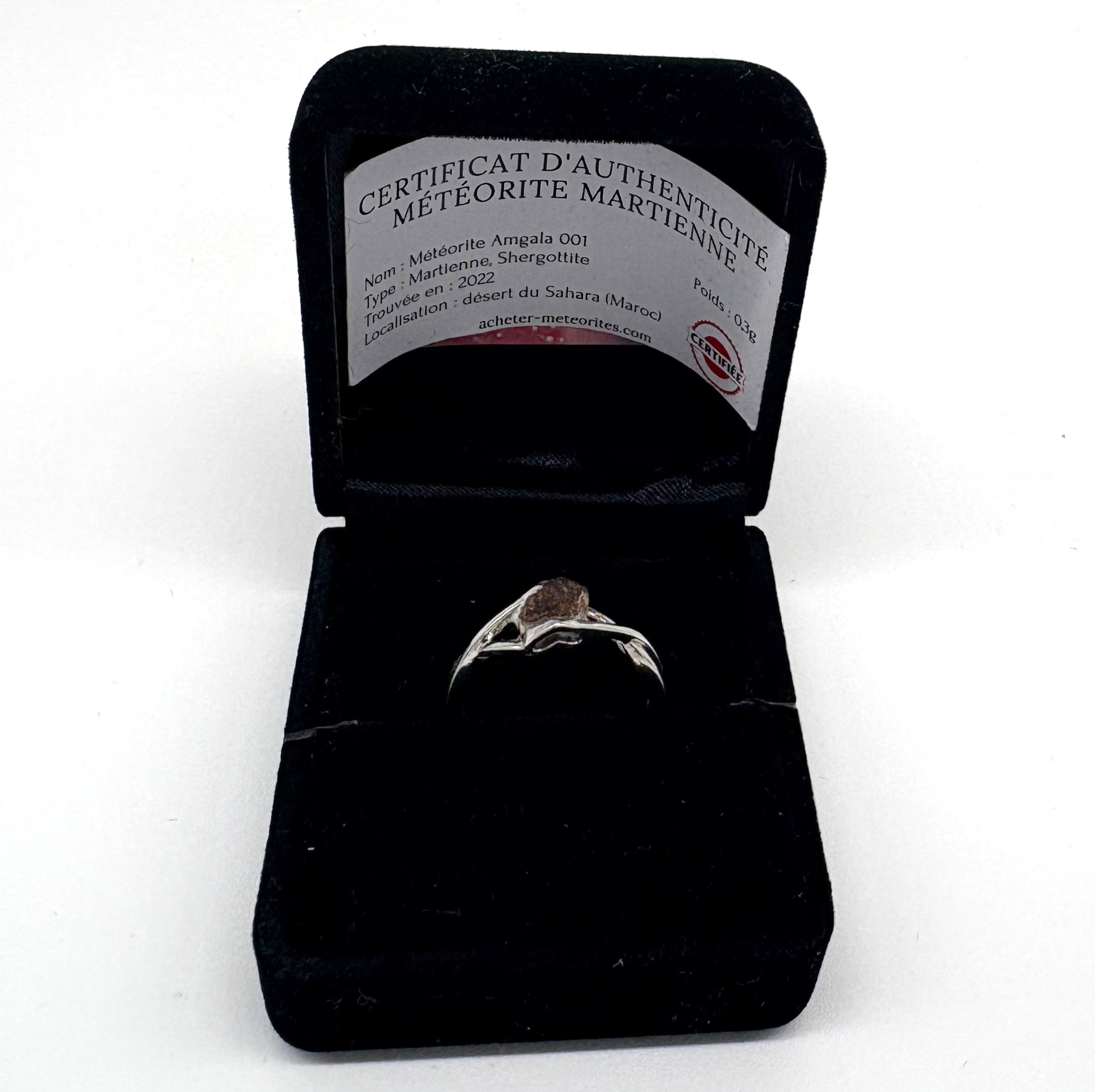 anillo meteorito marte
