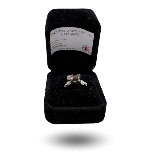 anillo disfraz