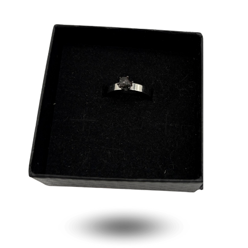 anillo meteorito nwa 13290