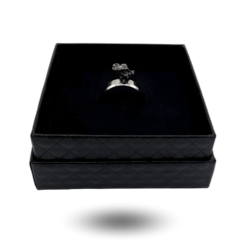 anillo de meteorito campo del cielo