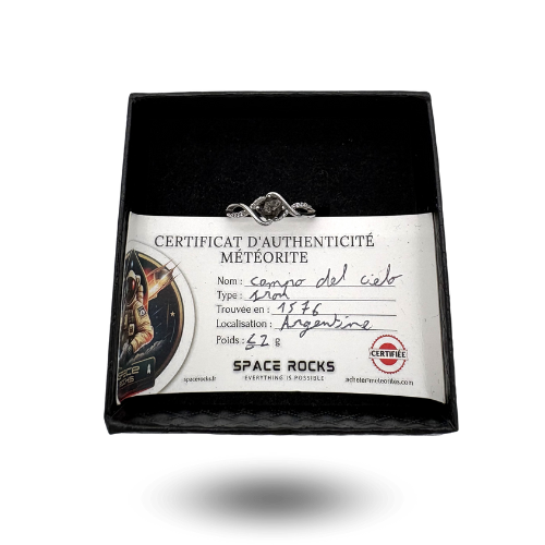 anillo de meteorito original